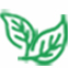 Green Product Policy